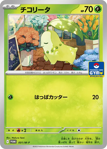 菊草葉 PTCG 卡牌價格