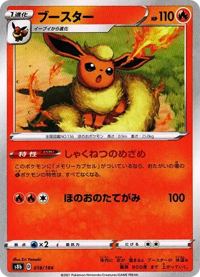 蕾荷
