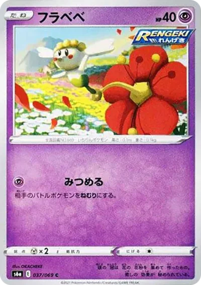 花蓓蓓