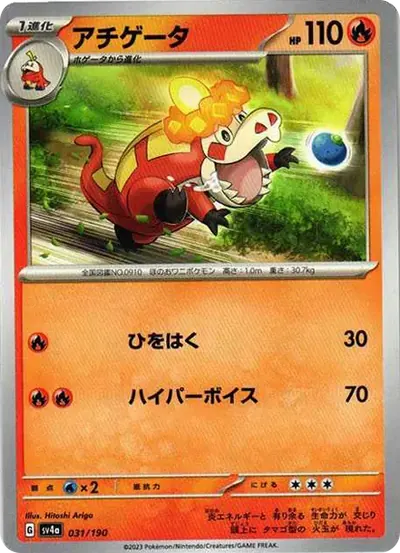 アチゲータ