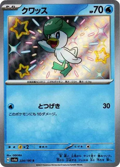 潤水鴨