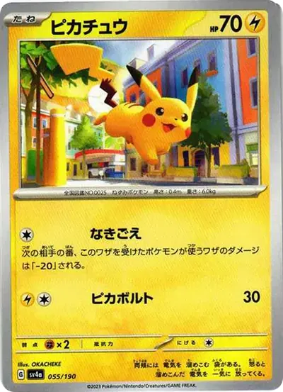 過街皮