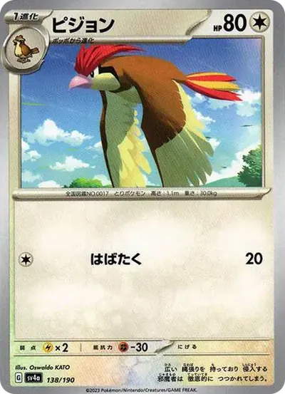 ピジョン