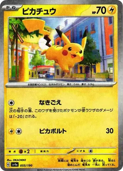 過街皮