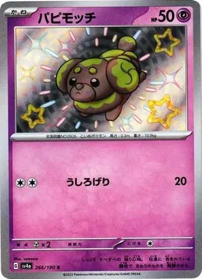 パピモッチ S
