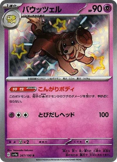 バウッツェル S