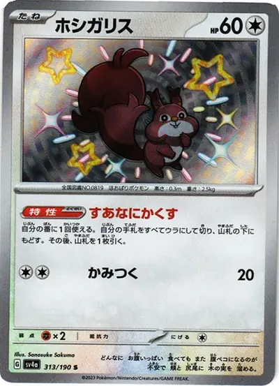 ホシガリス S