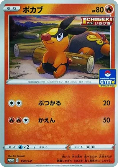 暖暖豬