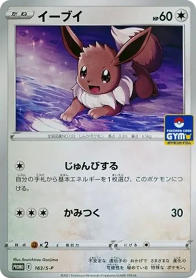 伊布P