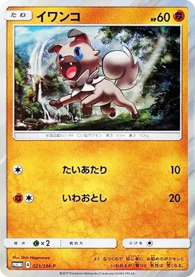 岩狗狗