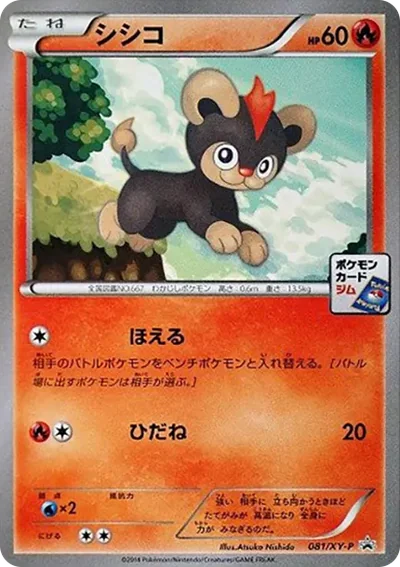 小獅獅
