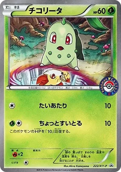 洛奇亞