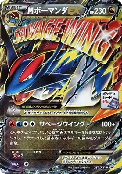 暴飛龍EX P