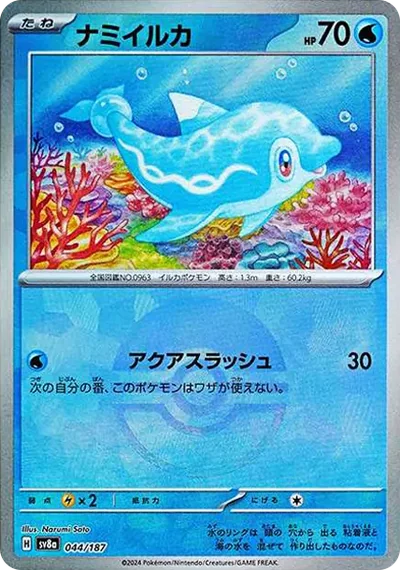 波普海豚