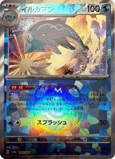 海豚俠大師球