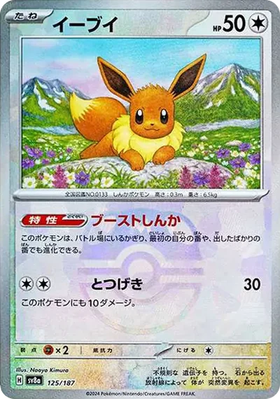 老闆伊布
