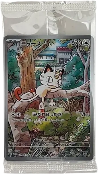 喵喵 P