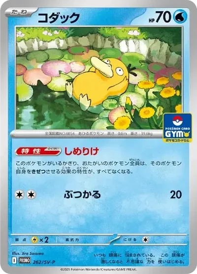 傻鴨