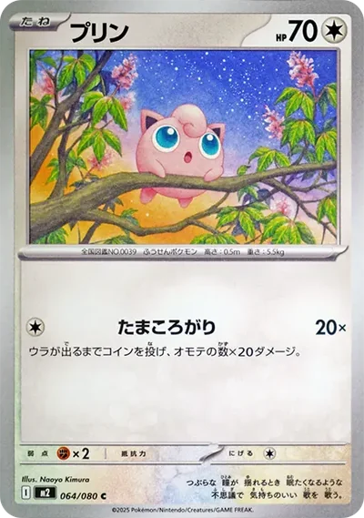 胖丁