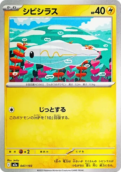 麻麻小魚