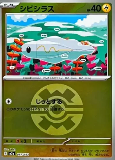 麻麻小魚