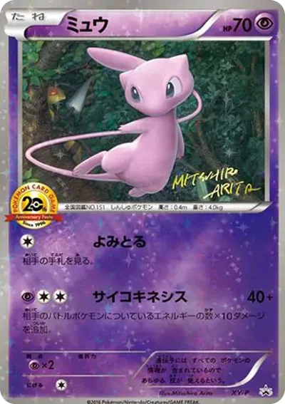 夢幻XY-P