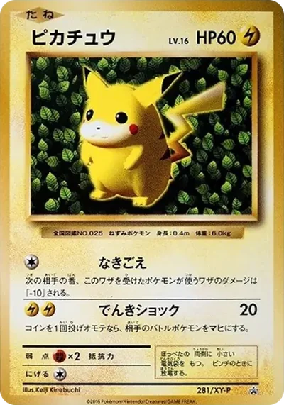 叢林皮